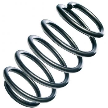 Vorderachs-Feder Eibach R10246 (BMW)
