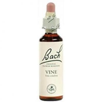 Schwabe Fiore di Bach Gocce 50 g