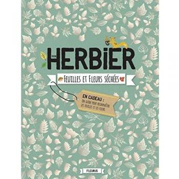 Mon herbier : Feuilles et fleurs séchées