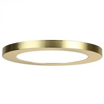 Forum Tauri Brass Magnetic Ring for SPA-35721