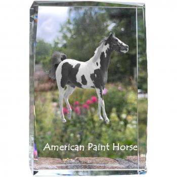 Arte Crystallineo con Caballo