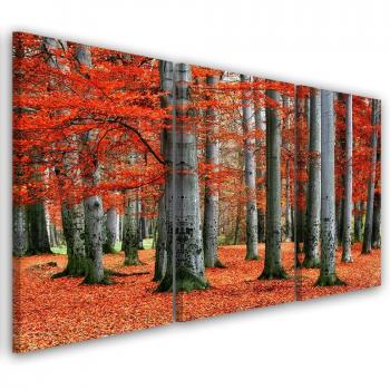 Woodland Crimson Autumn Canvas Collection
