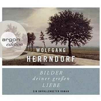 Bilder deiner großen Liebe: Ein unvollendeter Roman
