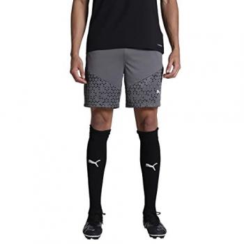 Puma teamCUP Herren Trainingsshort grau L