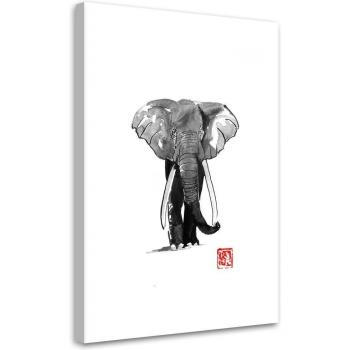 Impresión Lienzo Elefante en Movimiento