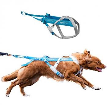 Non-stop Dogwear Freemotion Sele 5.0 Stl 5 Blå/Grey
