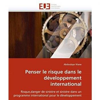Penser le risque dans le développement international