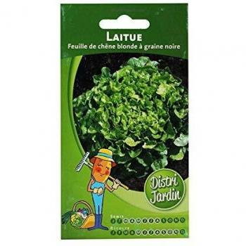 Laitue Feuille de chêne blonde