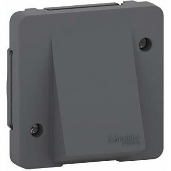 Schneider Electric Placa ABS Gris – Unidad de 1 Módulo