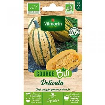 Lot de Graines Courge Delicata BIO – Vilmorin Signature