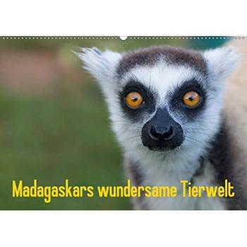 Madagaskars wundersame Tierwelt