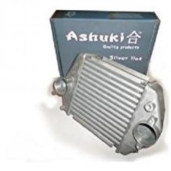 Magazzino 50 Motor Camere – Ashuki M550
