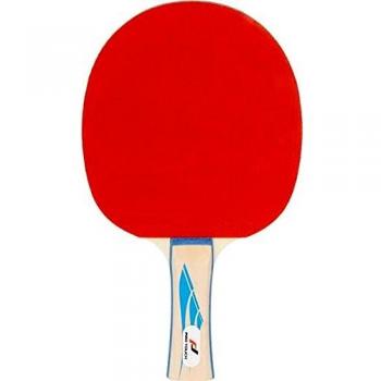 Pro Touch Tischtennis-Schläger 412086