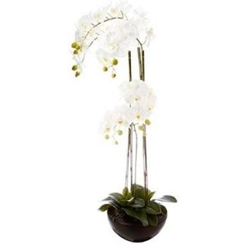 Orchidée en pot céramique hauteur 115 cm