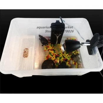Réservoir cylindrique pour tortues HONGYI, lieu de repos, taille S/M/L, 1 pièce