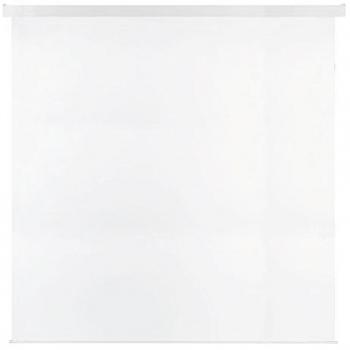 Franken Rolloleinwand Eco elektrisch 240 x 240 cm