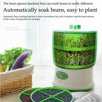 Electric Bean Sprout Maker