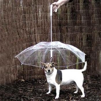 PawProtect Transparent Pet Umbrella