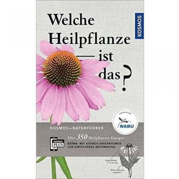 Welche Heilpflanze ist das?