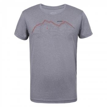 Herren T-Shirt Icepeak SAIF Grau Edition