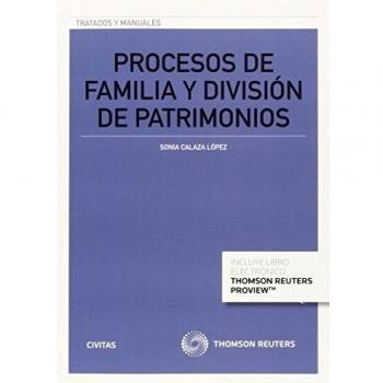 Procesos de familia y división de patrimonios