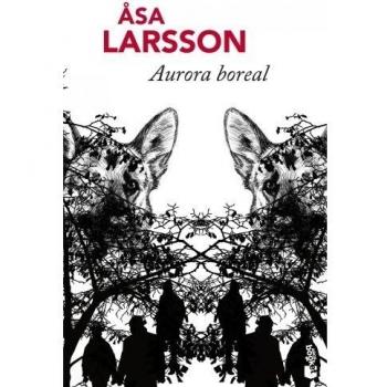 Aurora boreal (Navidad 2011)