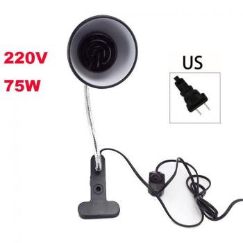 Lampes Chauffantes E27 pour Reptiles, Kit de 50W/75W/100W avec Support