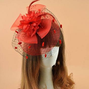 Wedding Birdcage Veil with Hairpin