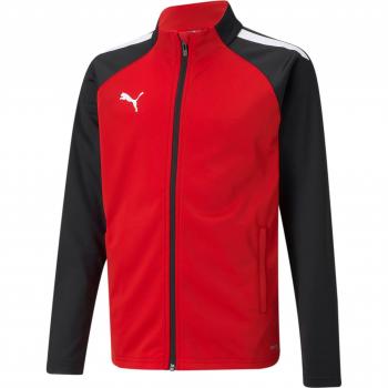 Veste Puma Team Liga Training