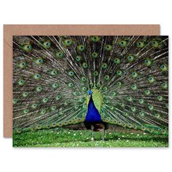 Artery8 Peacock Feathered Art Card