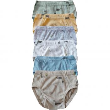 Culotte en coton doux, style garçon – 6lı Fitilli Slip