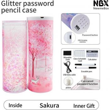 Password Protected Glitter Quicksand Pen Box