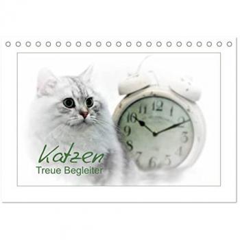 Katzen