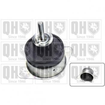 Quinton Hazell EM4221: Supporto per Motore