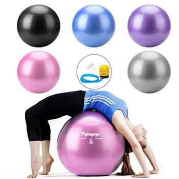 Ballon d'Équilibre Swiss Ball 65cm Rose