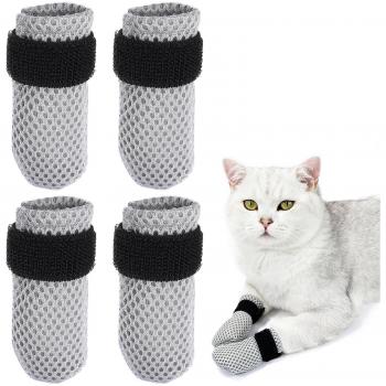 Capuchons de Protection pour Griffes de Chat