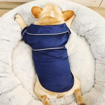 Chaqueta Peludita OtoñoInvierno