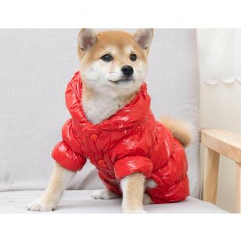 Manteau d'hiver pour Corgi