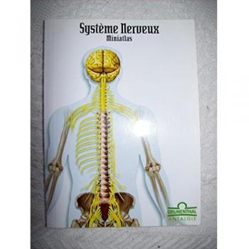 Système nerveux