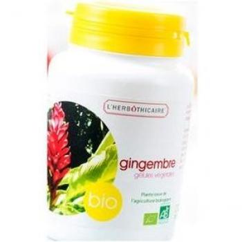 Bio Ginkgo Biloba – 180 gélules concentrées