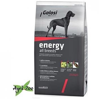 GOLOSI DOG