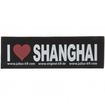 CHAMPION Big Size 160x50 mm