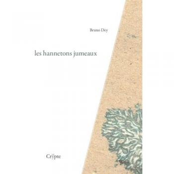 Les hannetons jumeaux : Cécités
