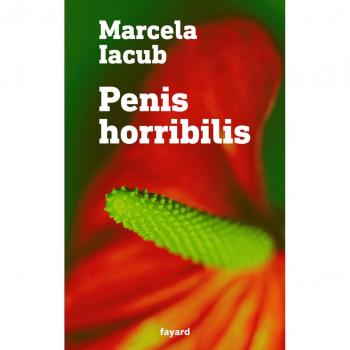 Penis horribilis : une autre histoire du mouvement #MeToo