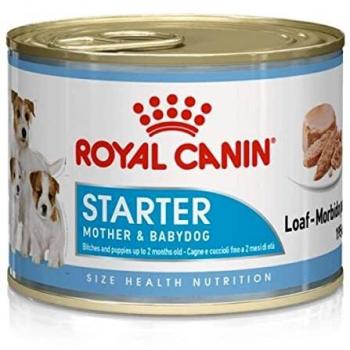 Canin Starter Mousse 12 × 195 g