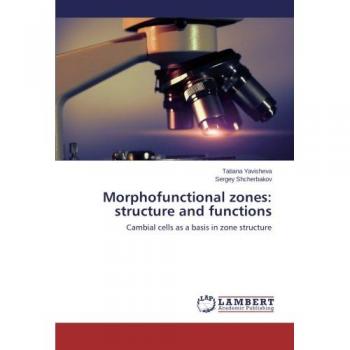 Morphofunctional zones: structure and functions: Cambial cells as a basis in zone structure