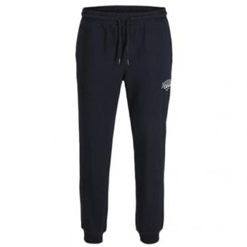 Jack & Jones Junior Sweatpants – Design JPSTGORDON MAKOTO (JNR)