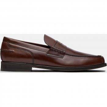 Lottusse Mocárida Daytona: Estilo y Elegancia
