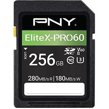 PNY EliteX‑Pro 60 256 GB – SDXC UHS‑II Classe 10 (Elettronica)