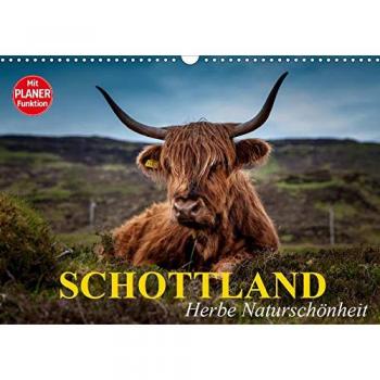 Schottland. Herbe Naturschönheit